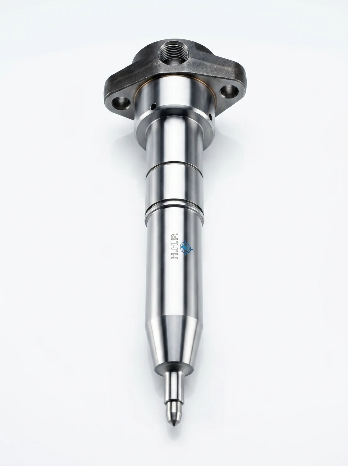 Marine engine fuel injection valve